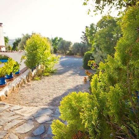 Cuevas De Rolando Guest House Guadix Exterior foto